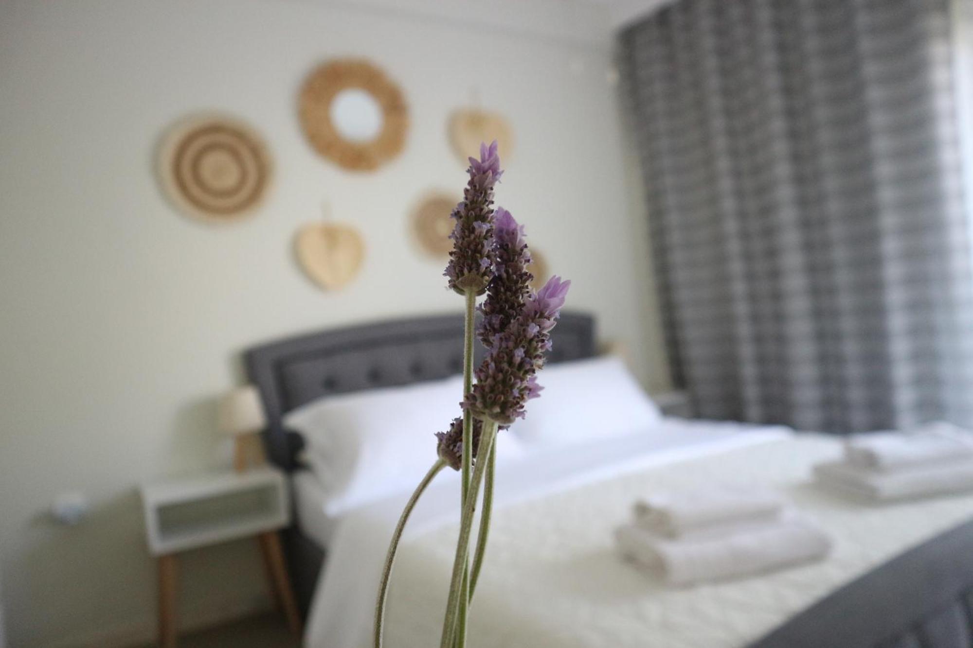 Grandma Mary'S Apartment Nea Playia 外观 照片